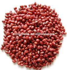 Chinese Small Red Beans(Adzuki)