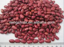 purple speckled kidney beans