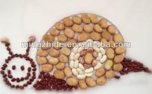 chinese broad beans