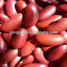  RED   KIDNEY  BEAN