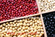 Chinese Red kidney beans