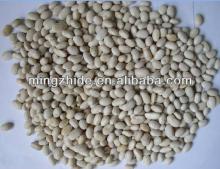 new crop dried japanese white kidney bean,