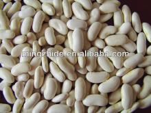 New Crop Wax Beans,180~200,200~220pcs/100g
