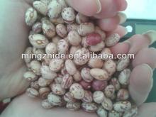 new crop light speckled kidney bean