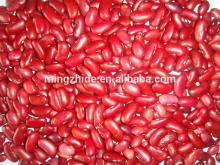 2014 Dark Red Kidney Bean/British red kidney bean