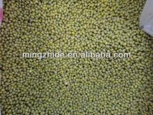 green mung beans specification