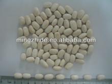 new crop dried meidium  white  kidney bean,