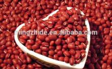 SMALL RED BEANS