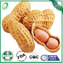 Peanuts oil