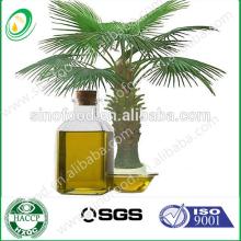 RBD palm oil
