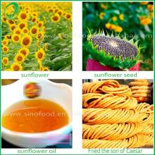 sunflower oil for cooking