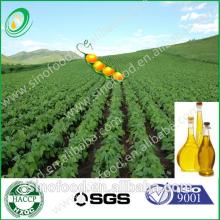 Soybean Oil bulk price