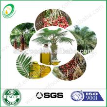  Palm   Oil  for sale with good  price 