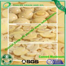 800g mushroom canned mushroom for good taste