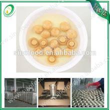 New crop canned mushroom in tin with top quanlity