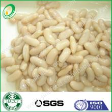 Testy salty canned white kidney beans
