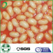 Canned White Kidney Beans in Tomato Sauce