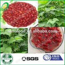 2013 new crop delicious canned dark red kidney beans