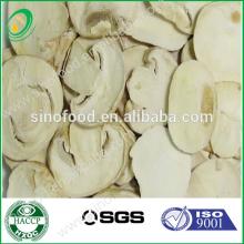 canned mushroom pns 800g from China factory price