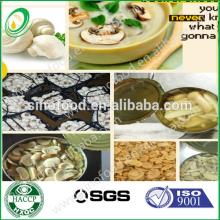 new crop canned mushroom PNS 800g with factory price