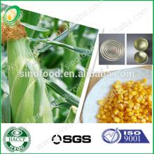  sweet   canned   corn  kernel in China low price