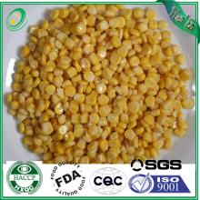 Canned sweet corn kernels for vegetable dishes