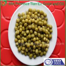 Canned Green Peas  Specification  (Fresh or Dry) in China