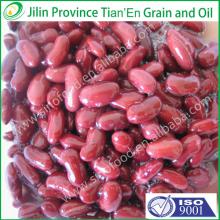 Price of canned red kidney beans in brine canned food factory 400g