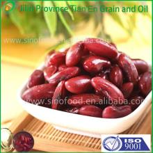 Canned mixed vegetable Canned Red Kidney Bean With Best Price