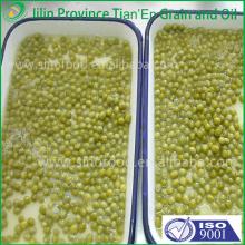 Chinese  fresh  and pickled canned green  pea  price in salt water
