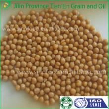 cheap canned chickpeas in preserved vegetables for sale