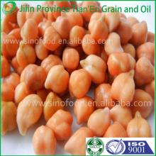 400g Nutrition  Canned   Chick   peas (cnned foods) In  Brine  In Tin