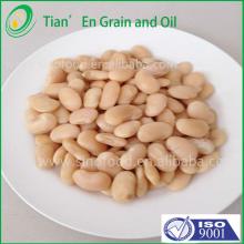 type of  canned   vegetables   canned  kidney beans /corn/tomato paste in brine