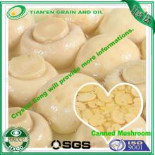 800g mushroom canned mushroom in  whole  and PNS
