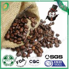 premium Arabica coffee beans