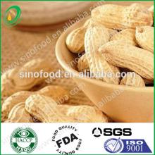 Raw  Peanut s/ Ground Nuts in Shell  2013  New crop Wholesale