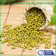 25/50kg  Mung   bean  sprout in pp bags