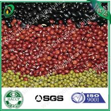 green mung beans/green bean peeling machine