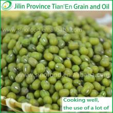 2013 Mung Green Beans for Sprouting with competitive price