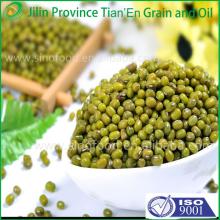 Chinese  price  for  green   mung   beans  with high quality