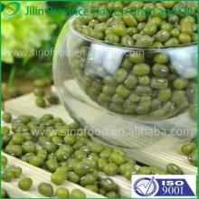 2013 new green mung bean seed with competitive price