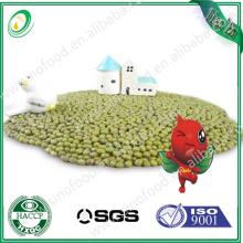 green  mung   beans / bulk  powder green coffee bean extract
