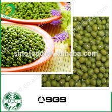new crop 2013 green mung bean bulk packing price