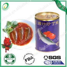Sell Sardine  canned  in  tomato  sauce