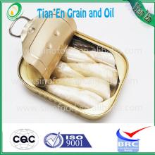 canned Sardines in tomato sauce/EO