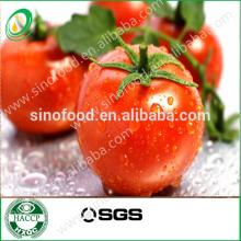 tomato paste canned vegetables 70g from China