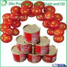 Tin Packing New Orient Pure Canned Tomato Paste Canned Food Pasta,400g x24tins tomato paste