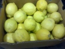 FRESH AND  DRY   GINGER 