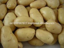 FRESH ROUND POTATOES FROM SOUTH AFRICA
