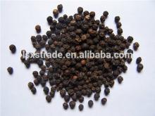 cheap price black pepper (H)